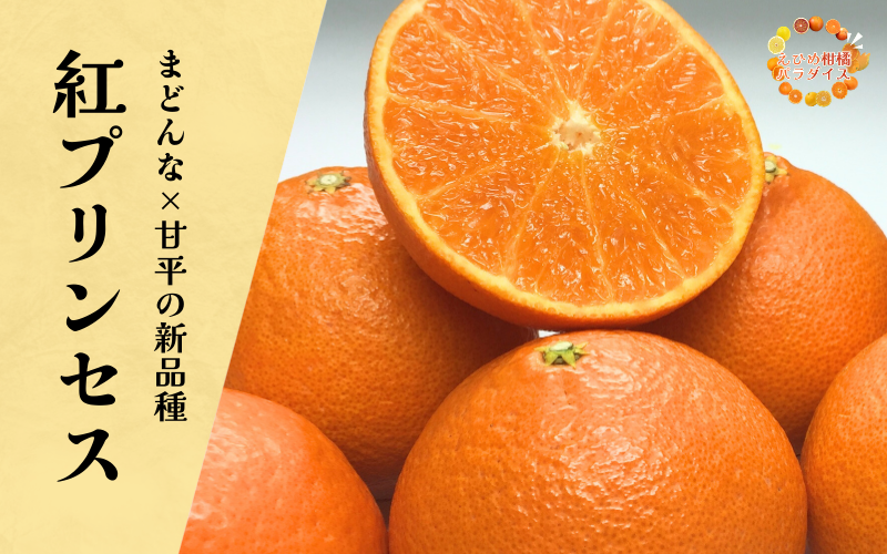 紅プリンセス（愛媛果試第48号）【限定5箱】