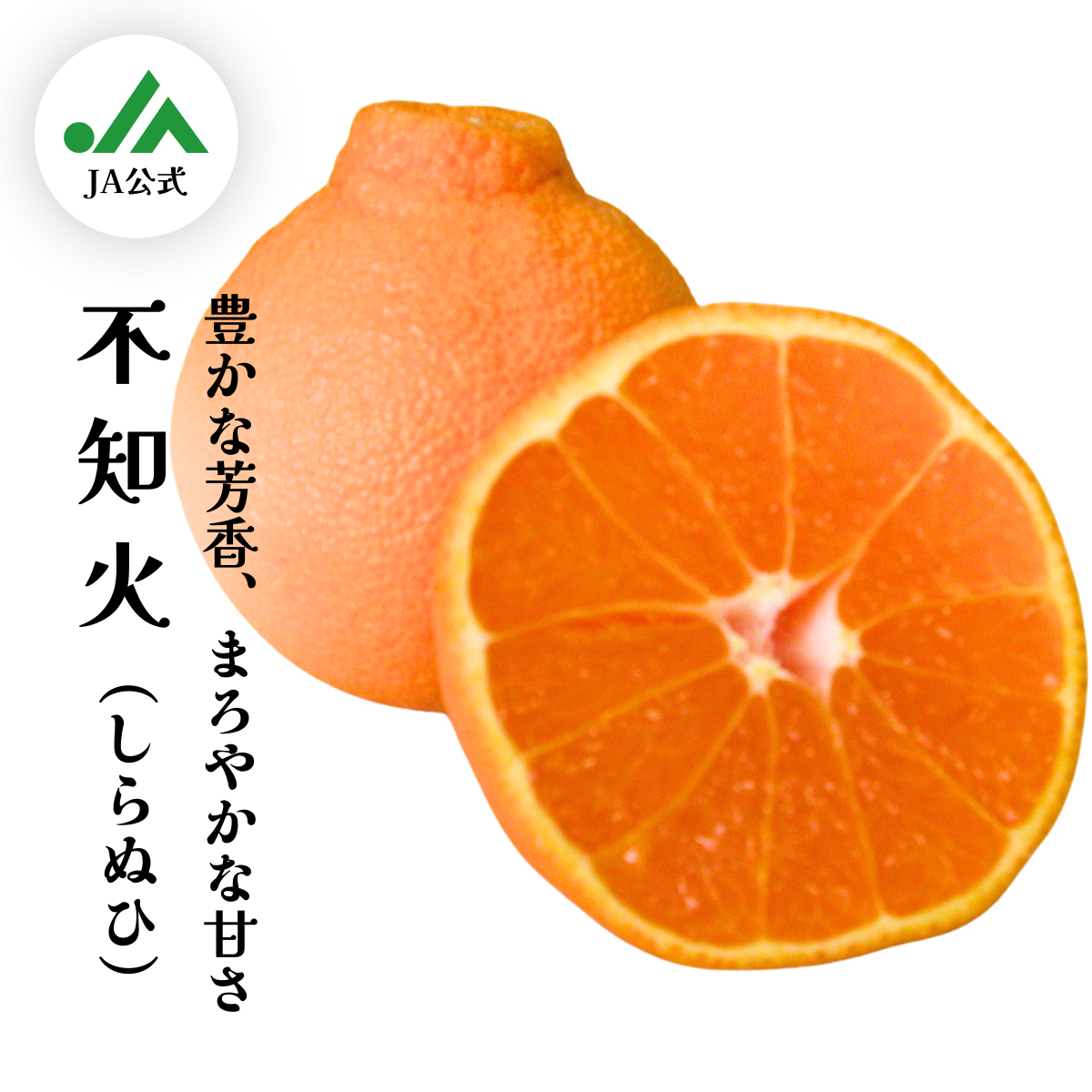 ミカン 楽天市場】久右門農園 津之輝 みかん 秀品 (約3kg) 和歌山県有田郡湯浅