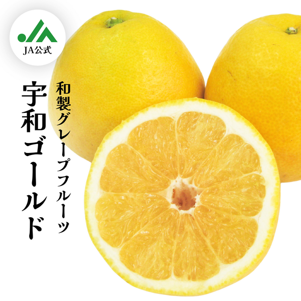 宇和ゴールド（河内晩柑） | 春のみかん | 【宇和島みかん】えひめ柑橘