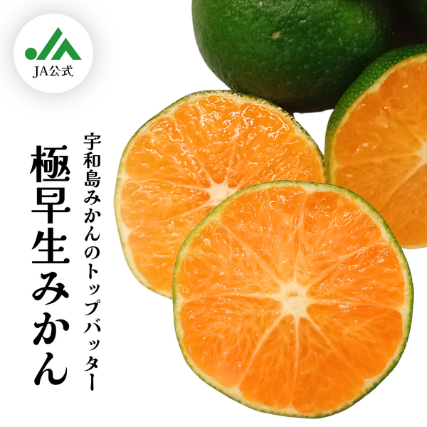 極早生みかん | 冬のみかん | 【宇和島みかん】えひめ柑橘パラダイス