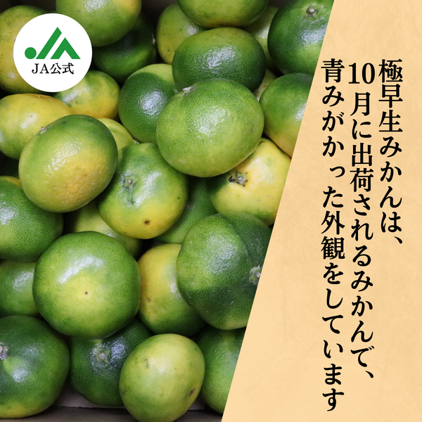 極早生みかん | 冬のみかん | 【宇和島みかん】えひめ柑橘パラダイス