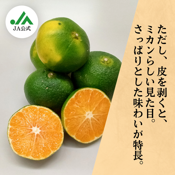 極早生みかん | 冬のみかん | 【宇和島みかん】えひめ柑橘パラダイス