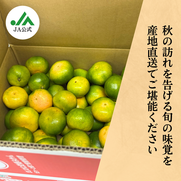 極早生みかん | 冬のみかん | 【宇和島みかん】えひめ柑橘パラダイス