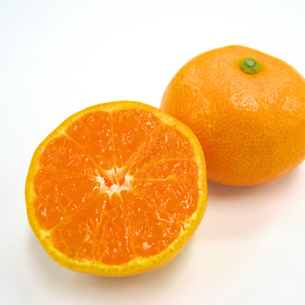 温州みかん（南柑20号など） | 温州みかん | 【宇和島みかん】えひめ