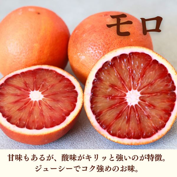 ブラッドオレンジ | 冬のみかん | 【宇和島みかん】えひめ柑橘