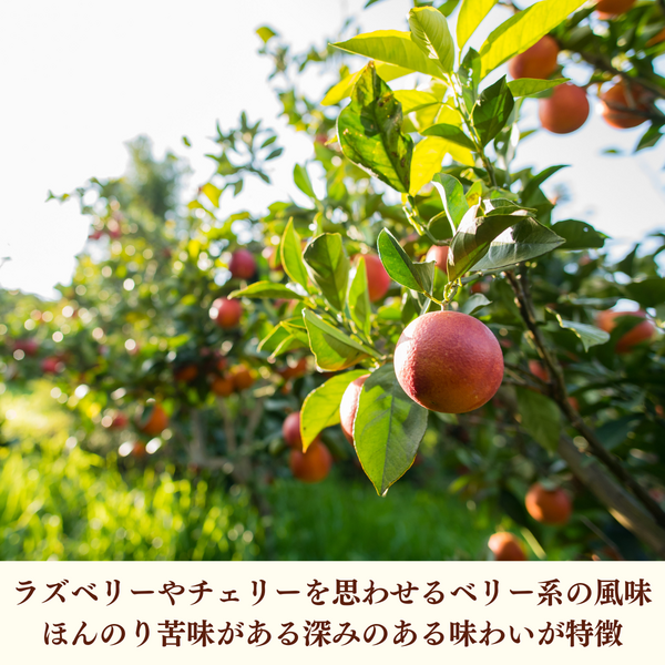 リピート　✿ ゆあ ✿様２本エキストラオレンジ1000 まさちゃさん・サンキストリコピンオレンジ