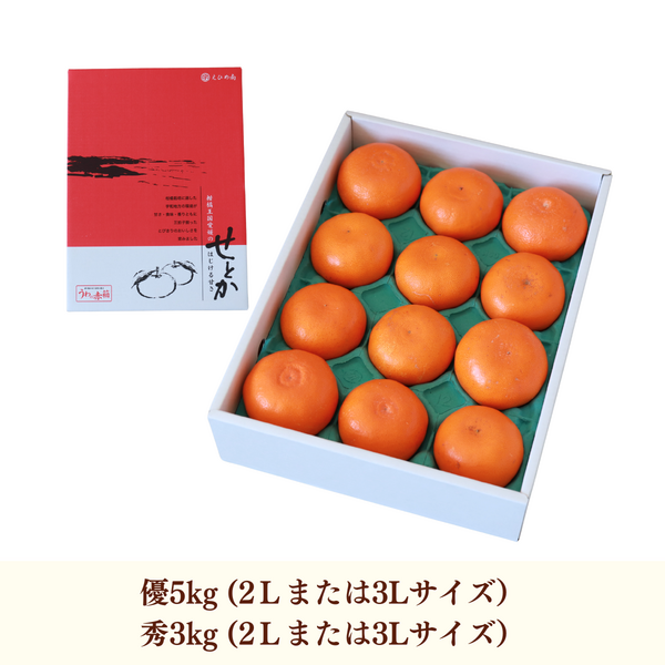 せとか | 冬のみかん | 【宇和島みかん】えひめ柑橘パラダイス｜JA