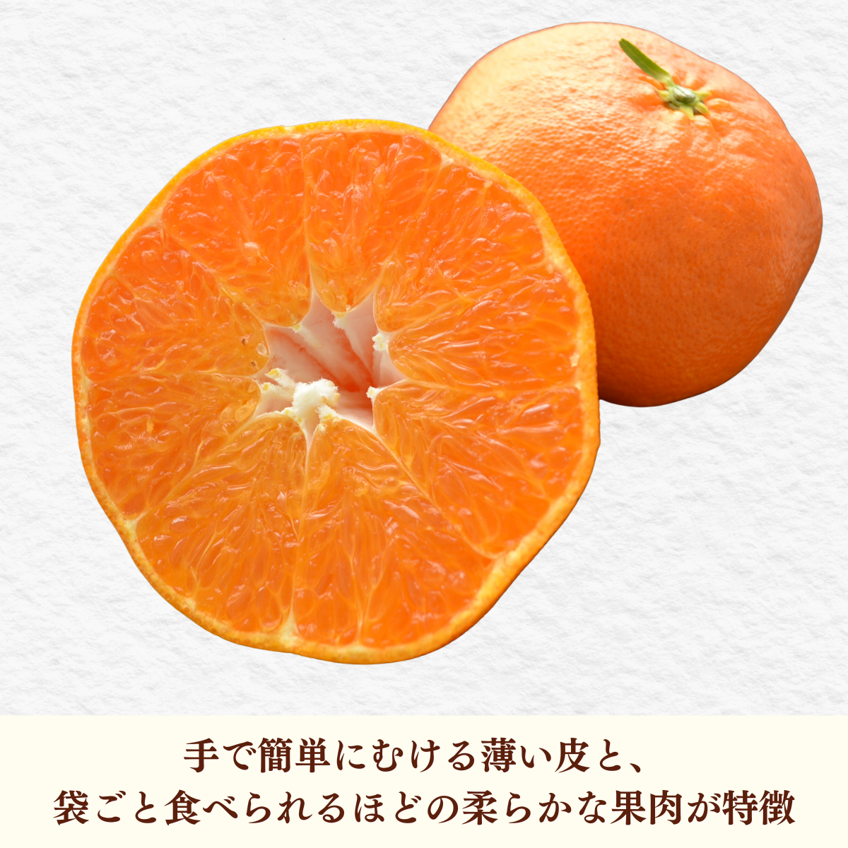 宇和島産甘平　SNOOPY品 宇和島産甘平 SNOOPY様専用品 【公式通販】