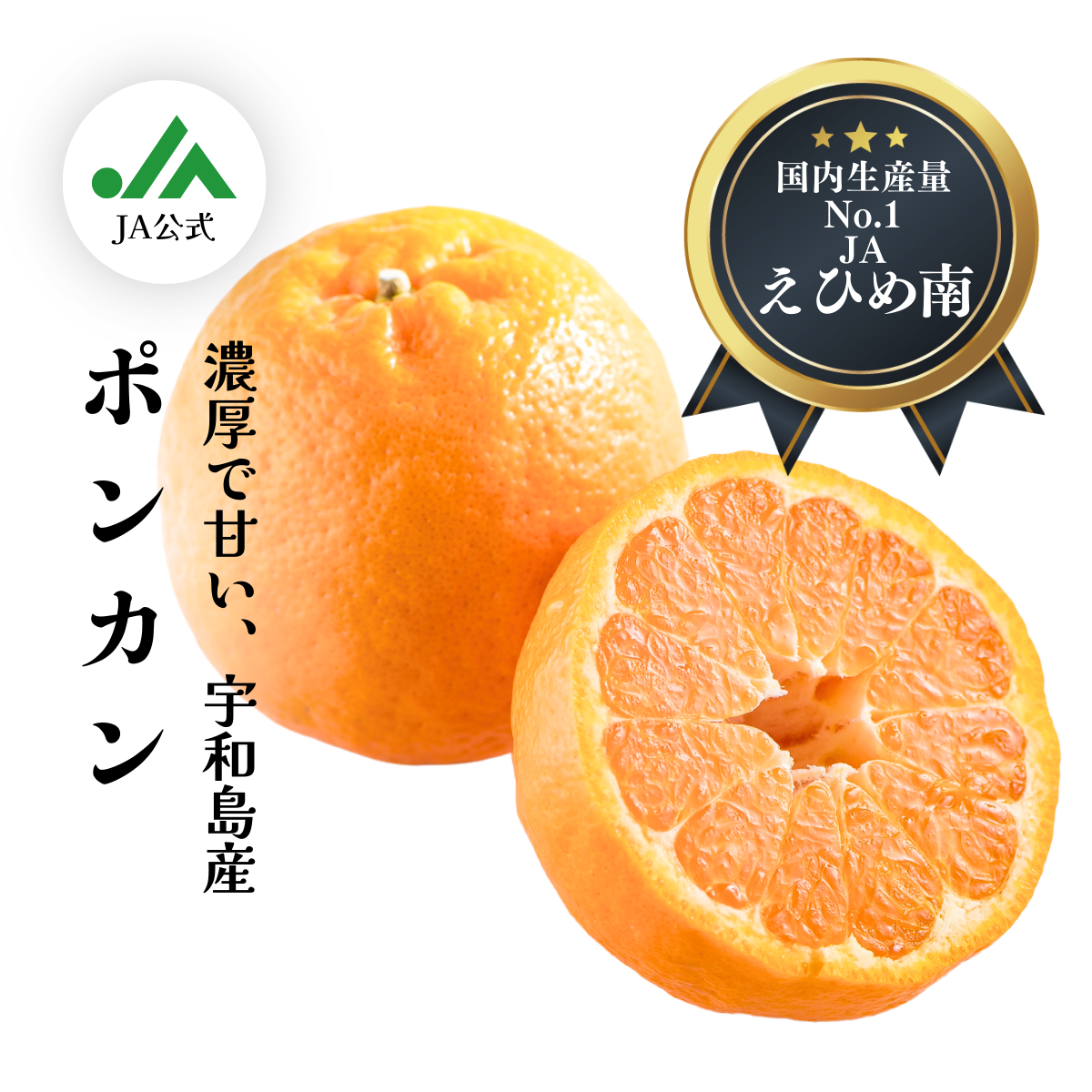 ポンカン.png
