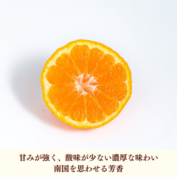 ポンカン | 冬のみかん | 【宇和島みかん】えひめ柑橘パラダイス｜JA