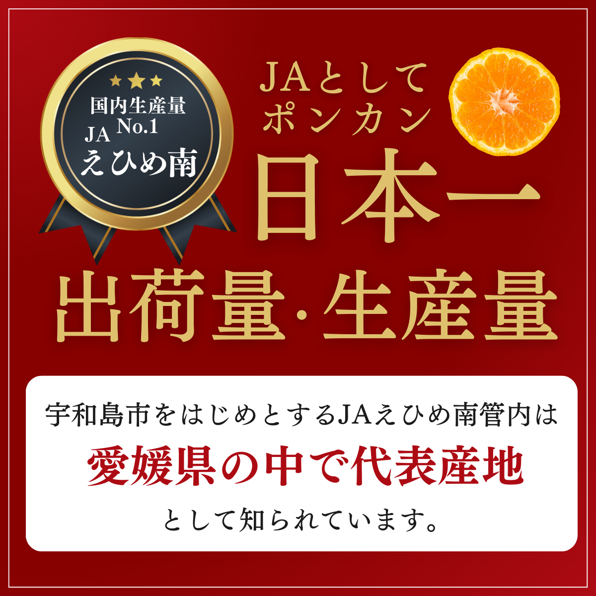 ポンカン | 冬のみかん | 【宇和島みかん】えひめ柑橘パラダイス｜JA