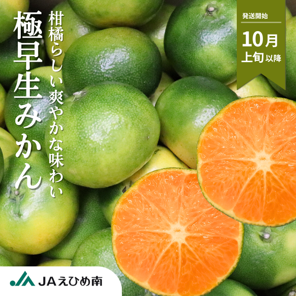 極早生みかん